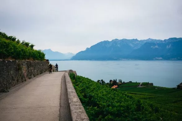 Cyclists in Lavaux vineyards