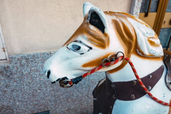Head of a rocking horse ride