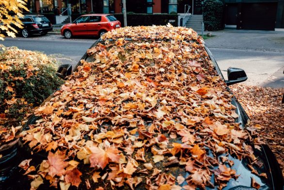 Car covered with autumn leaves