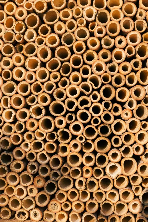 Straws pattern in insect house