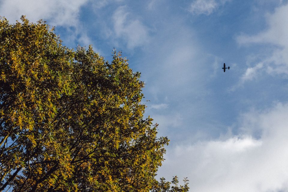 A small plane in fall sky