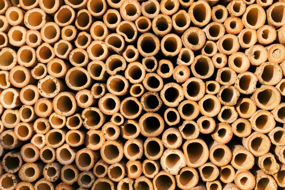 Circular tubes in insect house
