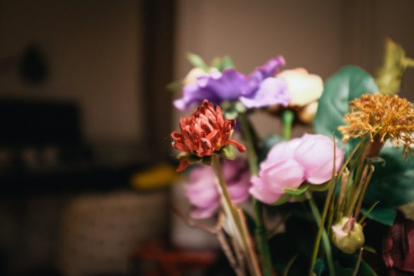 Dusty artificial flowers in a darkened room