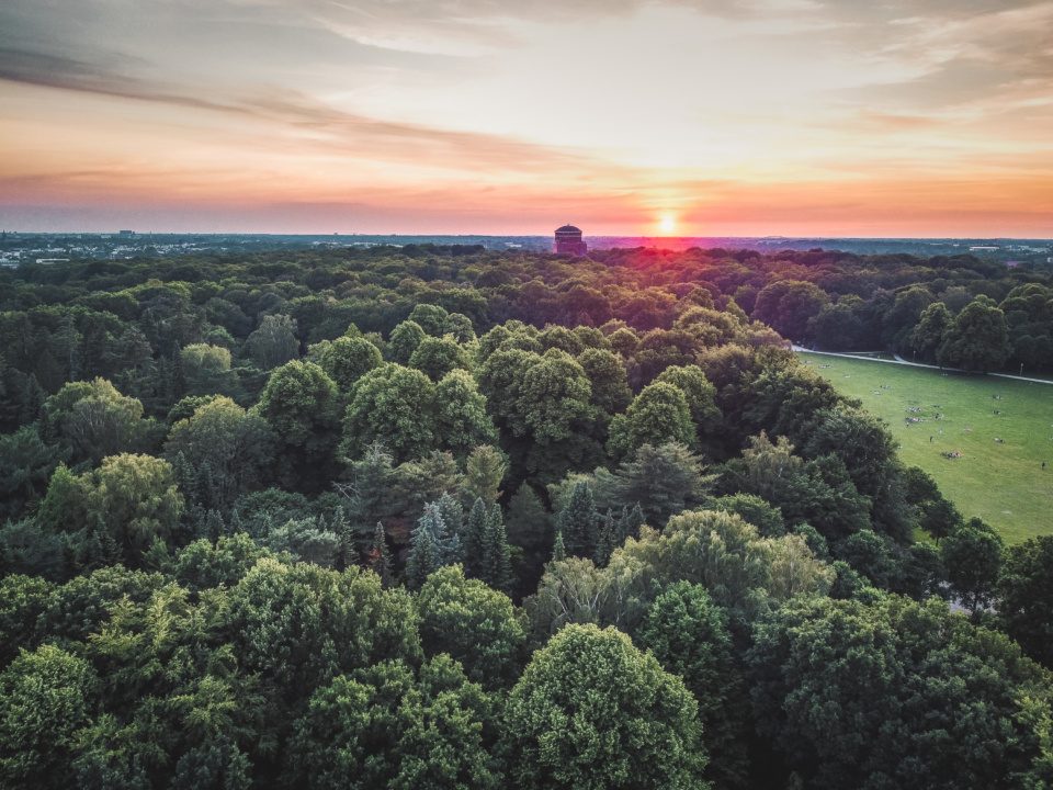 Sunset in Stadtpark Hamburg