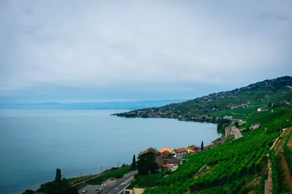 Lavaux vineyards and Lake Geneva