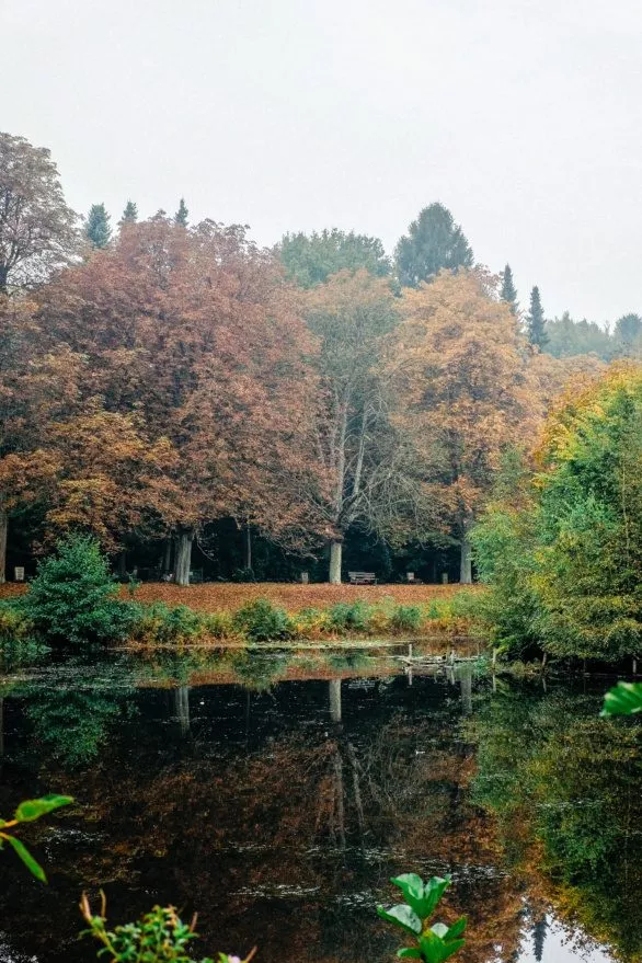 Autumn Pond in Ohlsdorf, Hamburg, Germany