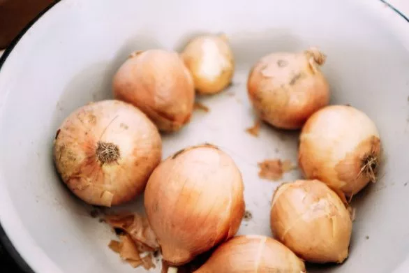 Onions in an enameled bowl