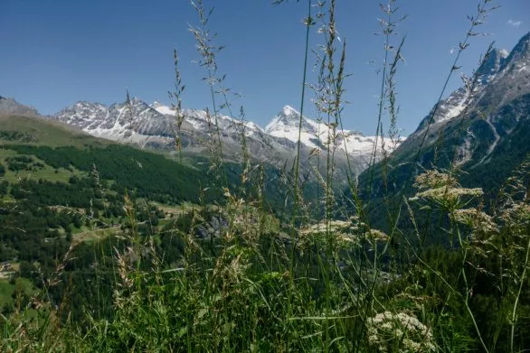 Green Val d'Herens valley in Valais, Switzerland