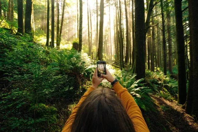 5 Instagram Apps to Make Your Visual Content Stand Out