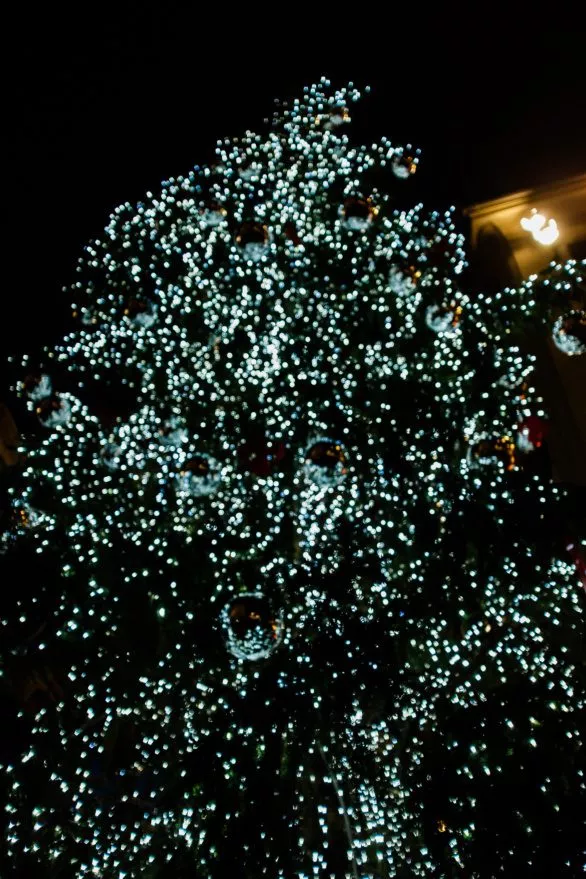 Blurred Christmas tree on a city street