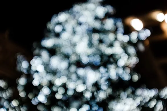 Blurred Christmas tree lights