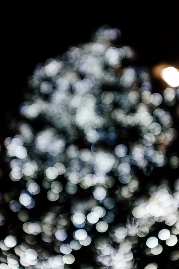 Blurred Christmas tree lights
