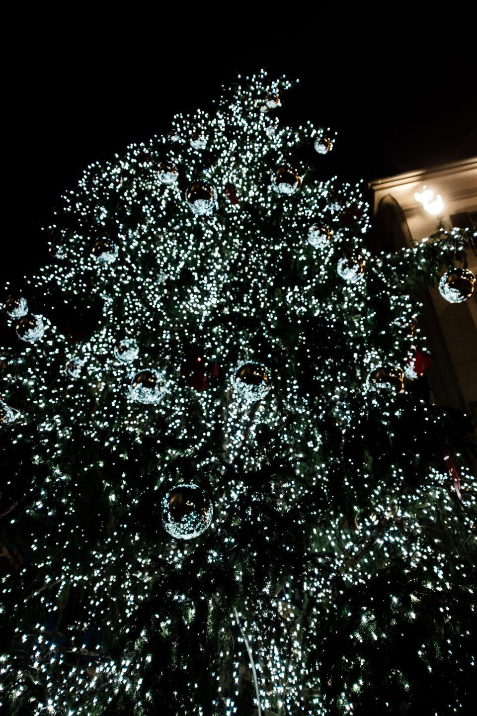 Christmas tree lights on the street