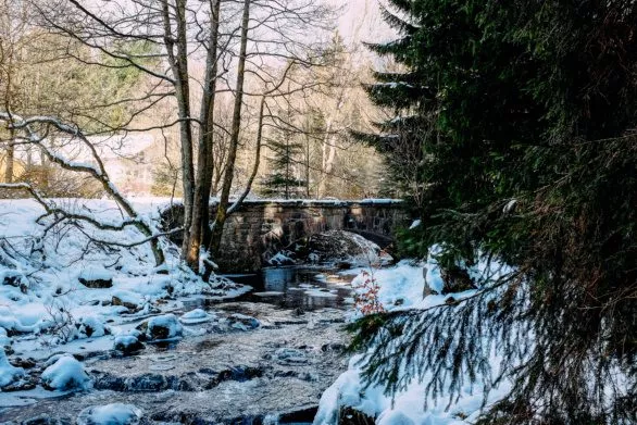 Bridge over a stream in a winter forest