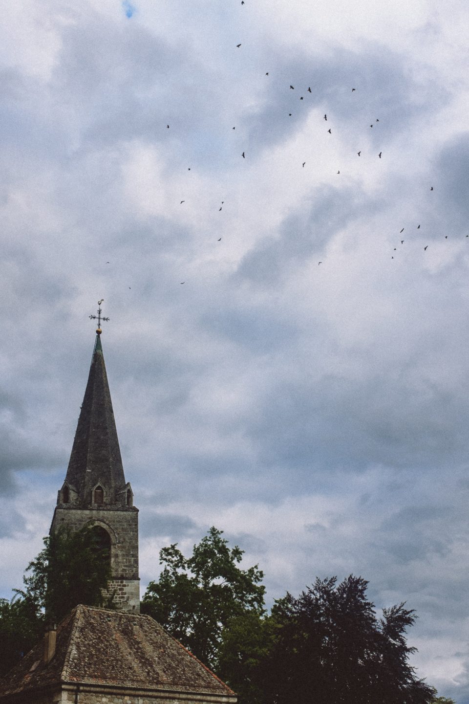 Birds flying over the church