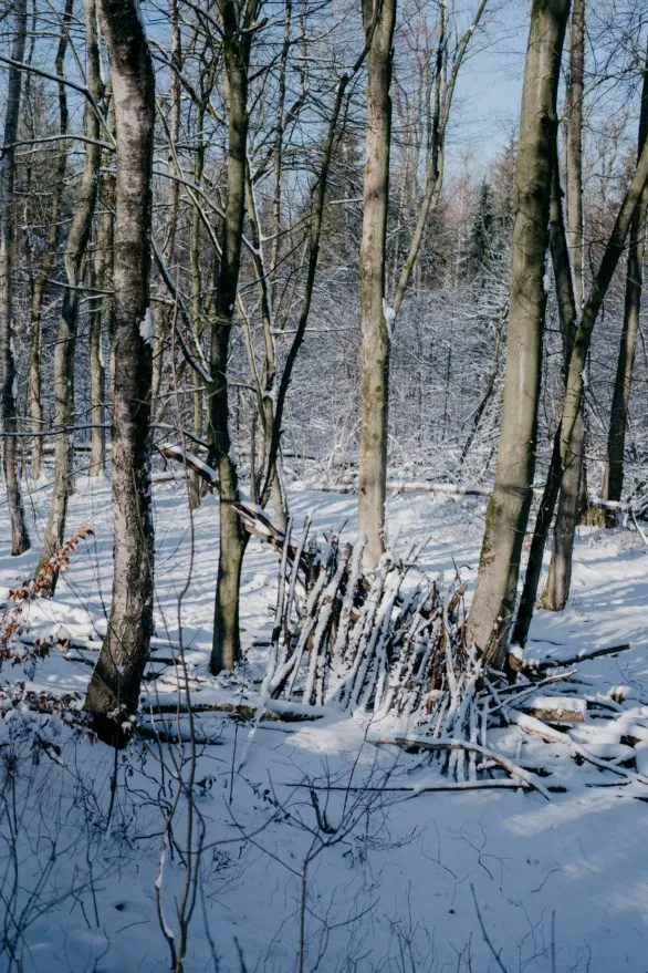 Shelter in winter forest