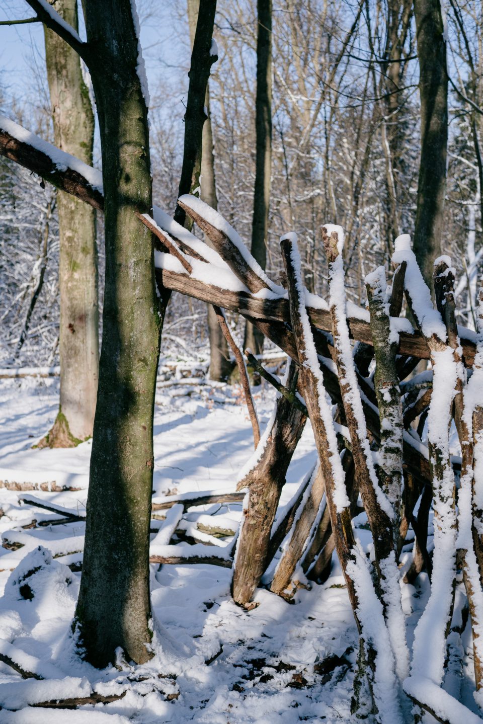 Shelter in forest in winter