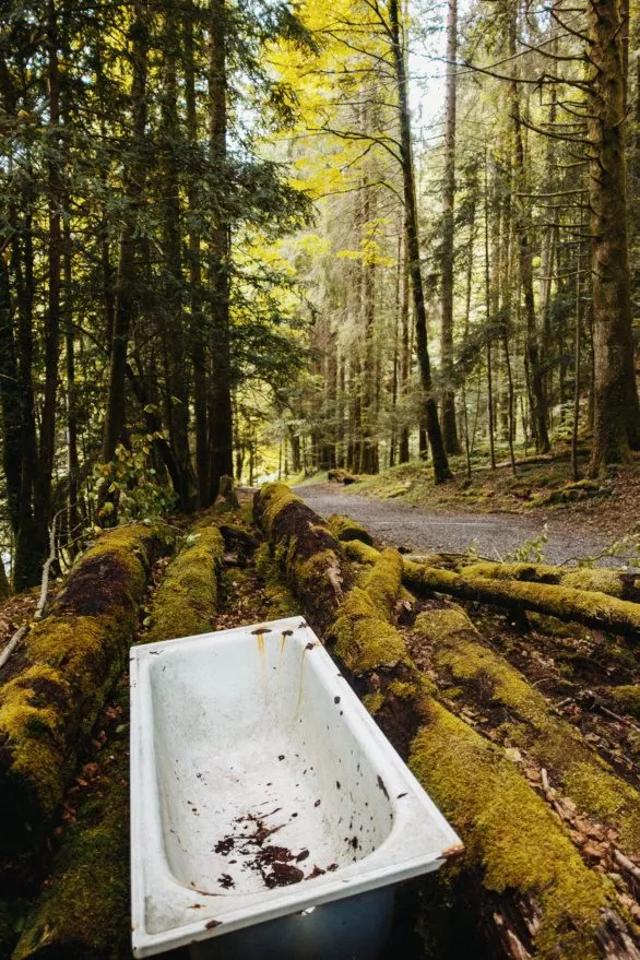 Bathtub in the woods