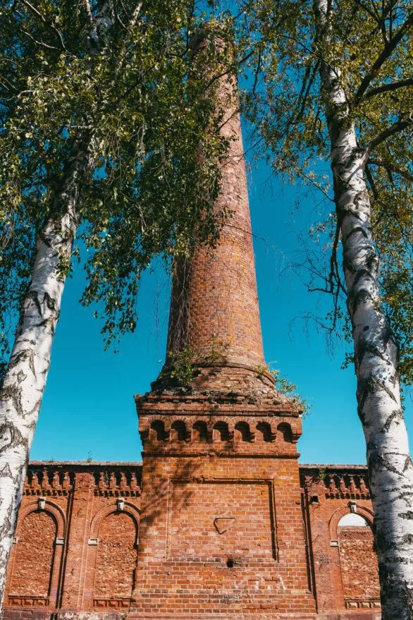 Old chimney and birches