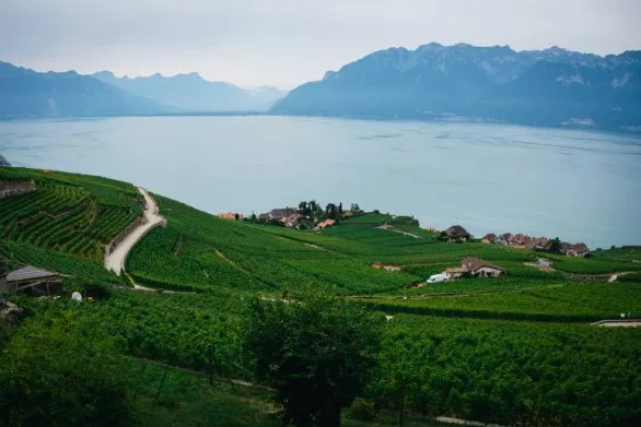 Lavaux Vineyards in Switzerland