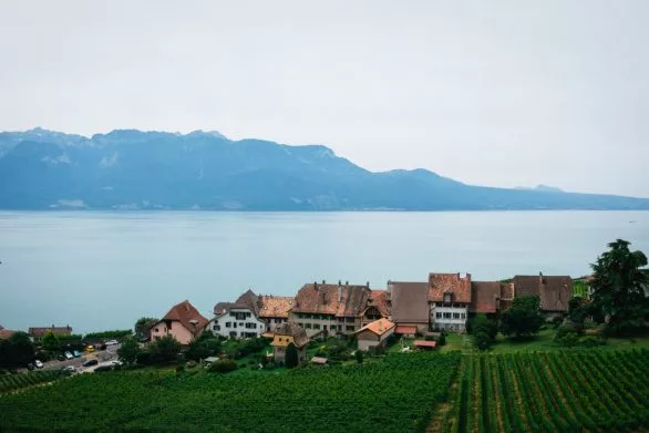 Lavaux Vineyards in Switzerland