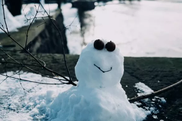 Weird little snowman