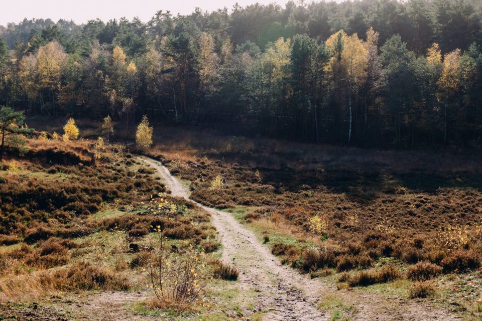 Hiking trail through an autumn hillside