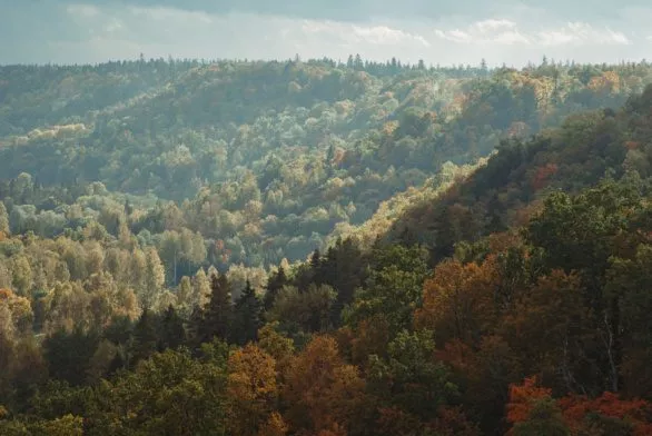 Hills and forests of Sigulda in Latvia