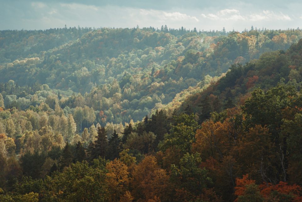 Hills and forests of Sigulda in Latvia