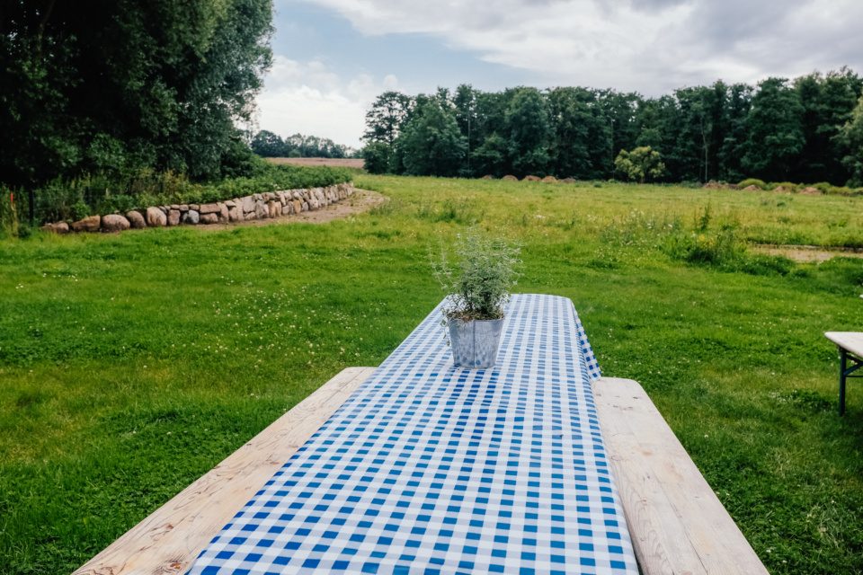 Picnic area in the countryside