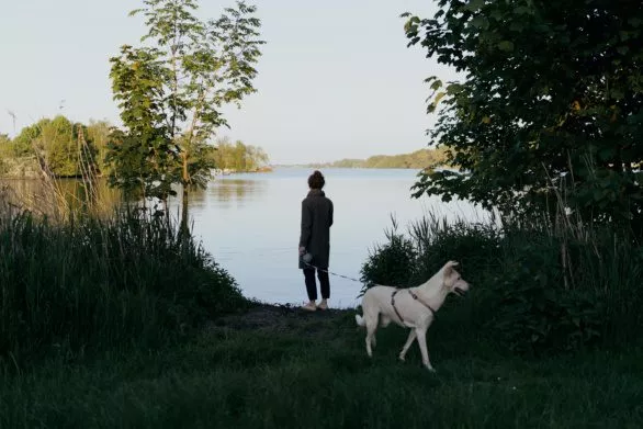 Woman walking dog near river