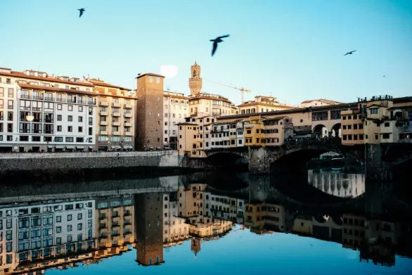 Birds over Arno River, Florence, Italy