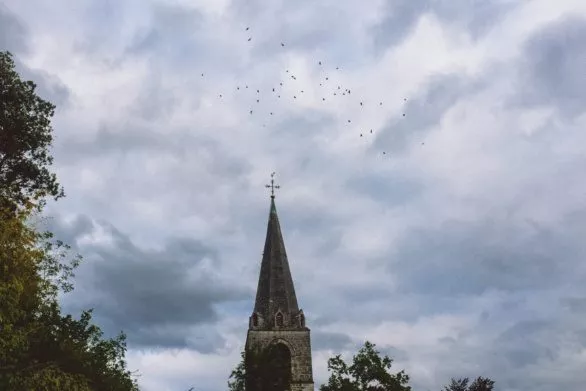 Birds over the church tower