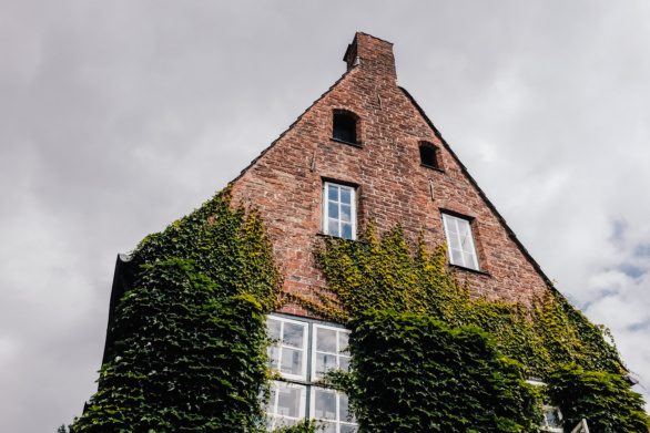 Old brick house with ivy