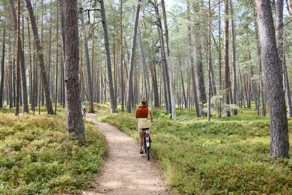 Cycling through the forest
