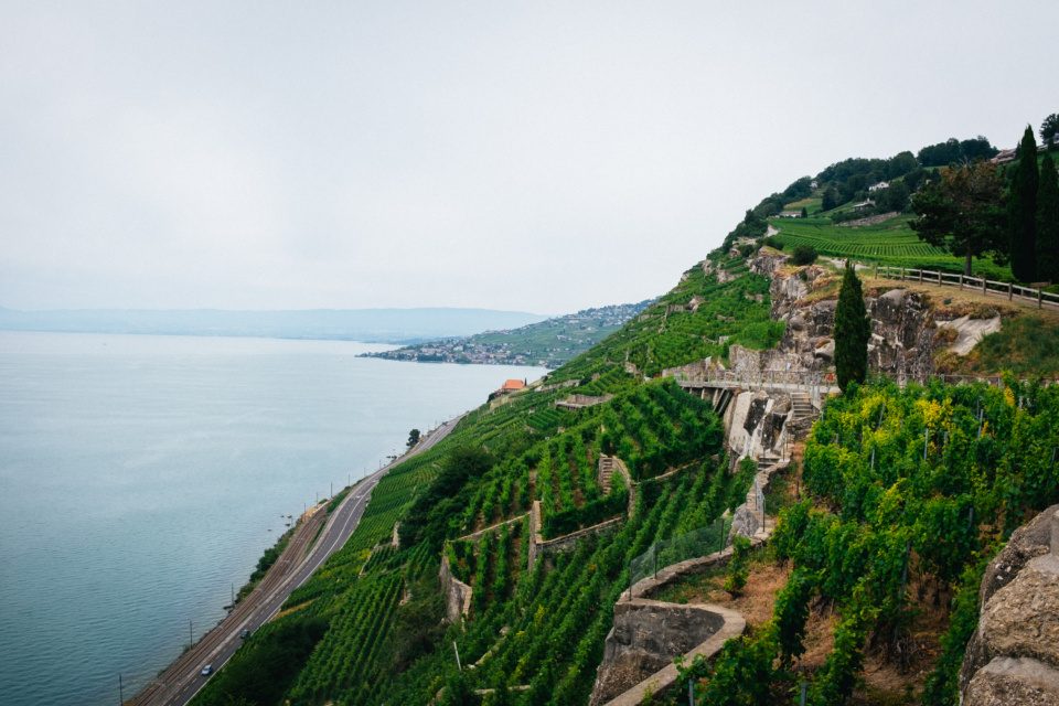 View of Lavaux vineyards and Lake Geneva
