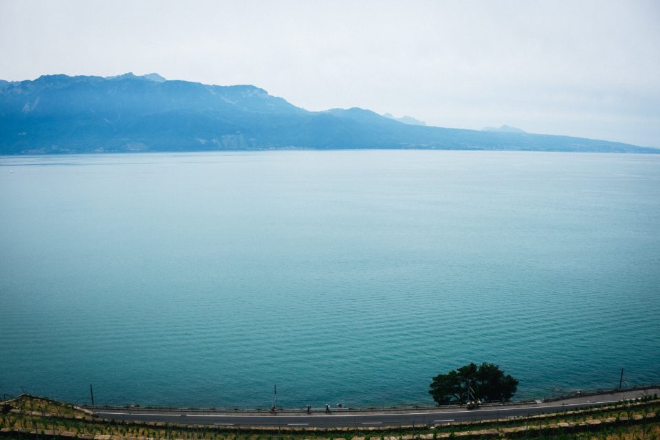 View of Lake Geneva from Lavaux Vineyards in Switzerland