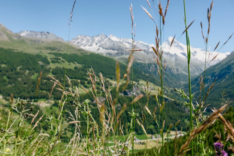 Green Val d'Hérens valley in Valais, Switzerland