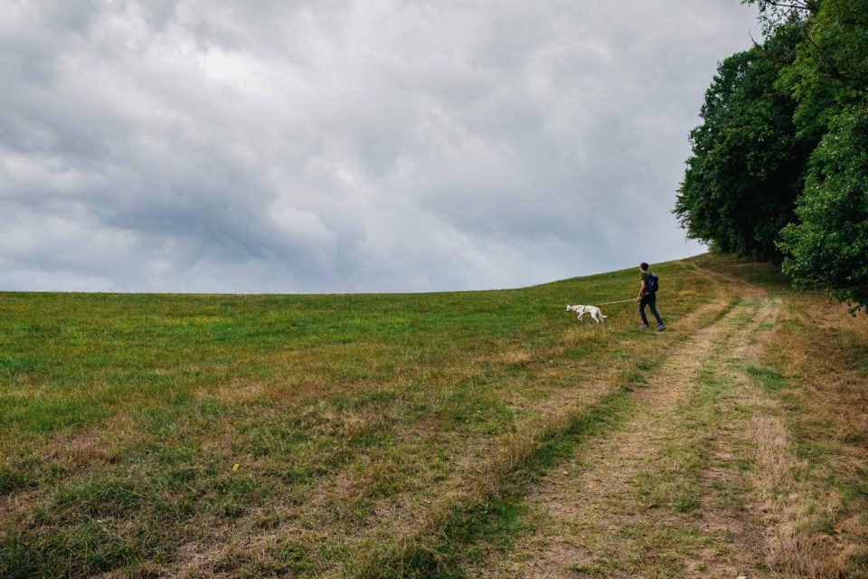 Man walking his dog in hilly countryside
