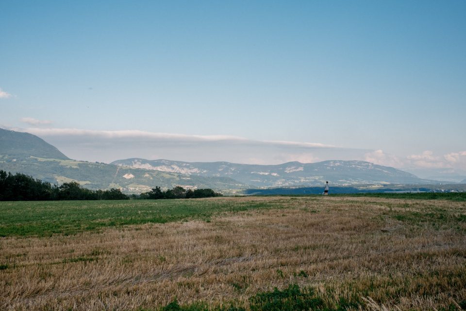 Man walking his dog in a field among the hills