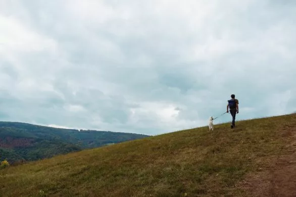 Man walking his dog in hilly countryside