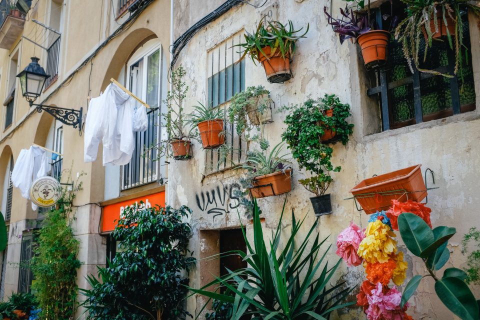Cozy Barcelona Alley with Plants and Drying Laundry