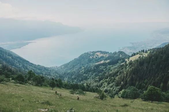 Hikers go down the mountain slope to Lake Geneva