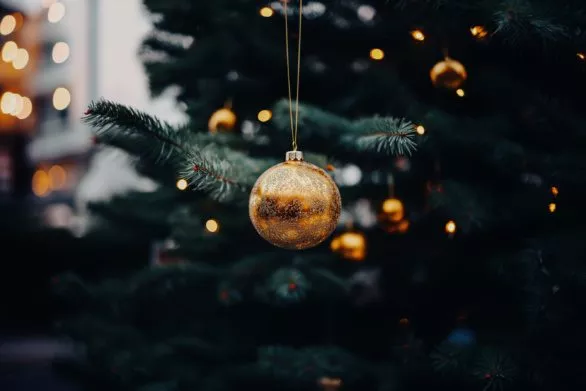 A close up of a christmas ornament hanging from a christmas tree