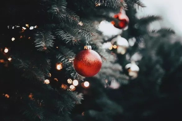 A close up of a christmas ornament hanging from a christmas tree