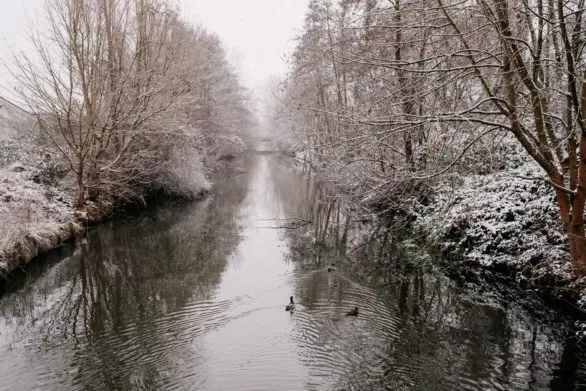 Snowy winter canal with ducks in Salzwedel, Germany