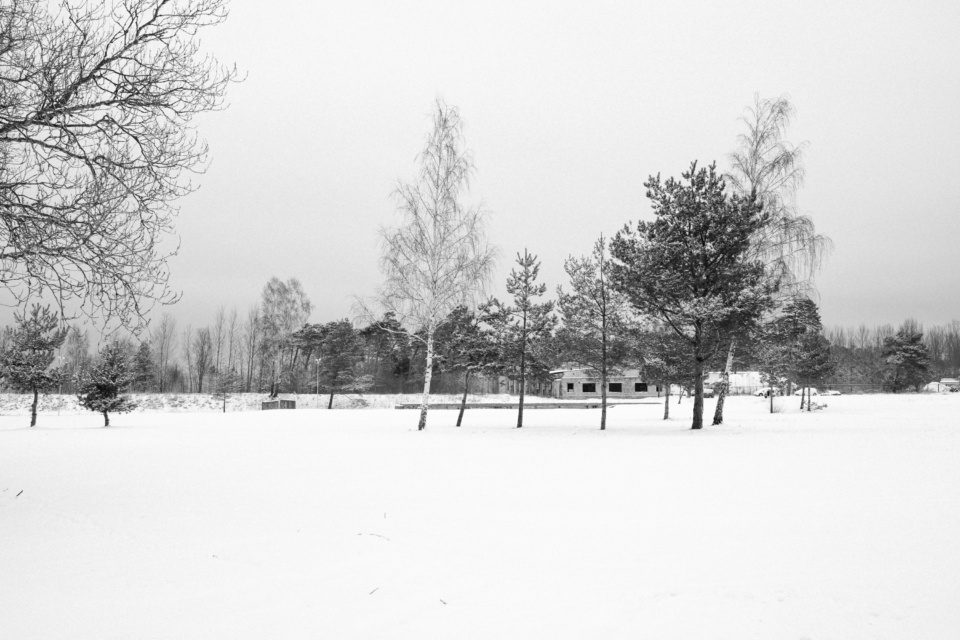 Snow-covered Landscape in Liepaja, Latvia