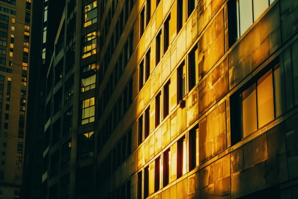 Golden Sunlight on Urban Facades