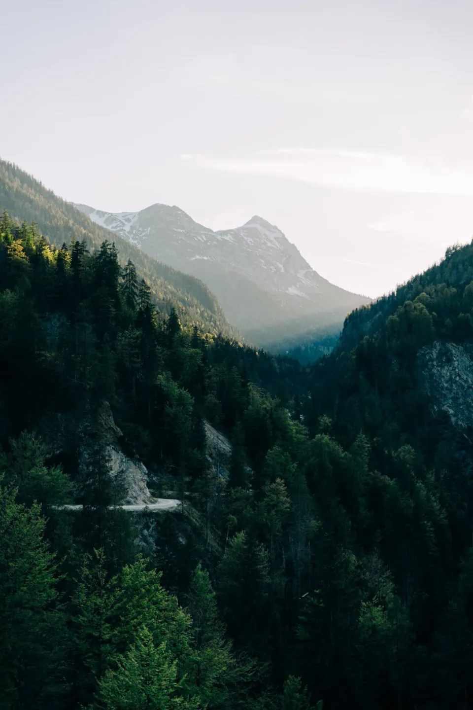 Mountain Range With Trees