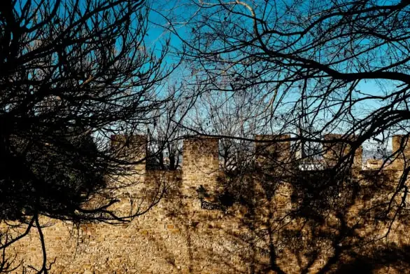 Ancient stone wall bathed in warm sunlight, with the silhouettes